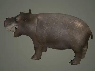 hippopotamus african animal mammal wild hipopotamo 3D model
