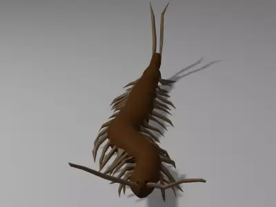Centipede Obj plus Blender 3D model