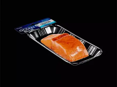 Hot Smoked Salmon 3D model