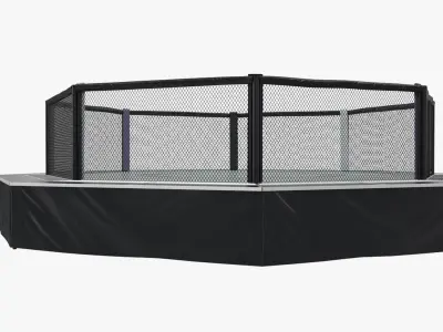 Fighting Octagon Arena 3D Model purchase