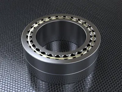 SKF Needle Roller Bearings Free 3D model