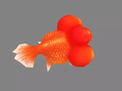 Cartoon big eyed goldfish Low-poly 3D model