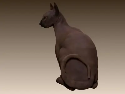 Sphinx cat 3D model