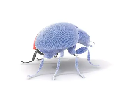 Vibrant Ladybug model pack Low-poly 3D model