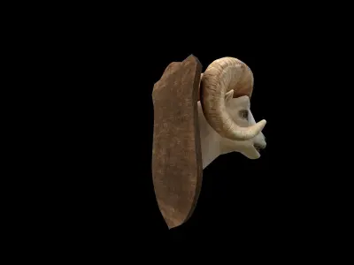 Ram Head - PBR - Textured Low-poly 3D model