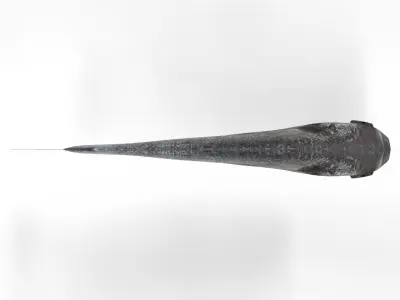 Gilt-head bream 3D model