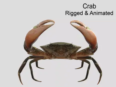 Sea Crab  Realistic Animated Low-poly 3D model