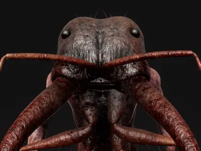 Mutant Ant - Horror Insects Collection Low-poly 3D model