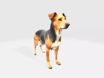 German dog 3D model