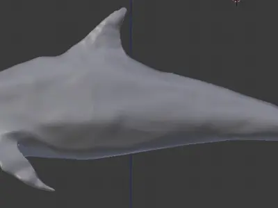 Dolphin Delfin Base 3D model