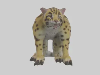 Ocelot Paws Model 3D model