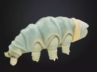 Tardigrade Wonder Toy Model STL OBJ 3D model