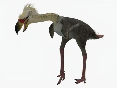 Realistic Phorusrhacos vulture with long beak Low-poly 3D model