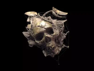 Broken Skull with Spider webs 1 3D model