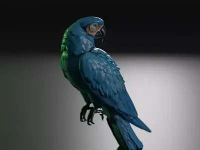 blue macaw 3D model