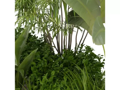 Collection plant vol 288 blender model Free 3D model