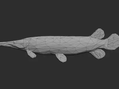 Low Poly Aligator Gar Low-poly 3D model