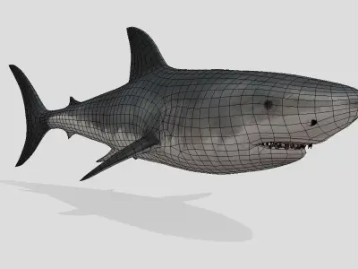 Shark Animated Low-poly Low-poly 3D model