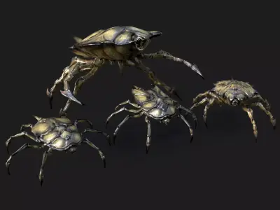Insect Crawlers Collection Low-poly 3D model