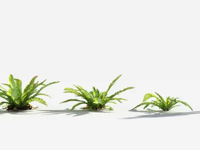 Plants Pack 7: Rainforest: GrowFX 3D model