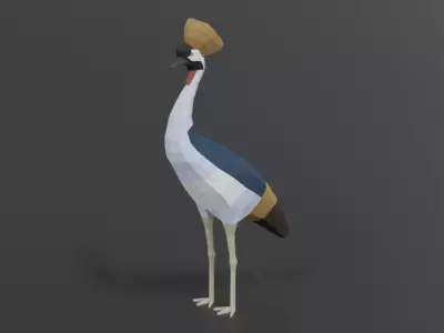 Low Poly Cartoon Grey Crowned Crane Low-poly 3D model