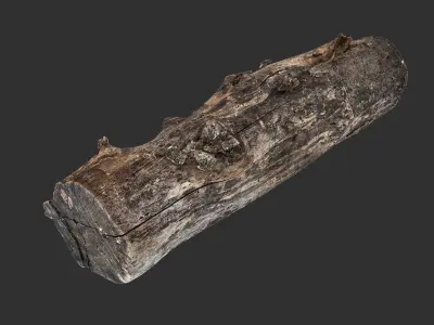 Withered tree trunk 3d scan in highpoly 3D model