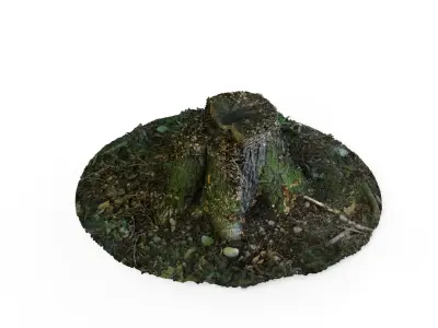 Forest Tree Stump 4K -Part 5- Free low-poly 3D model