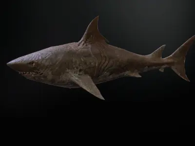 AlienShark 3 Low-poly 3D model