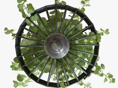 Ivy in a bird cage 3D model