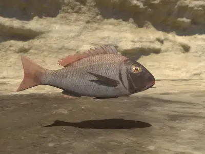 Fish 3D flying in sky Low-poly 3D model