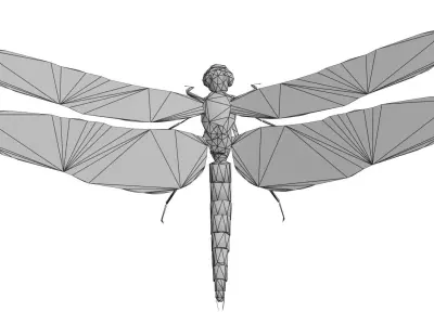 Low poly dragonfly Low-poly 3D model