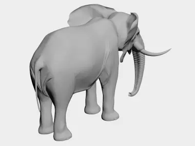 Elephant-wild animals 3D model