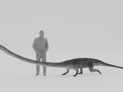 Tanystropheus - Blender Low-poly 3D model