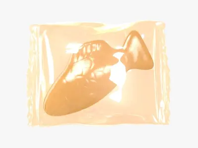 Wrapped Orange Fish 3D 3D model