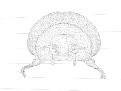 Ladybug Coccinellidae LOWPOLY Low-poly 3D model