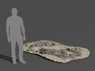  Medium Low Jagged Beach Rock Model 