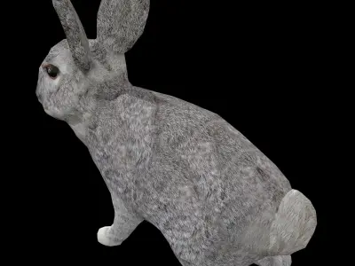 Rabbit  Low-poly 3D model