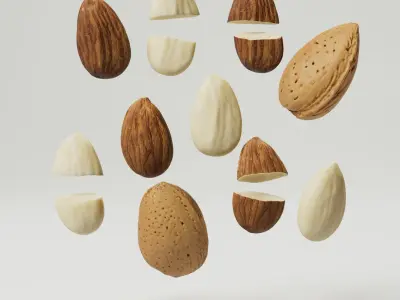 Almonds 3D model