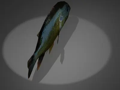 Bluegill fish with light shining Free low-poly 3D model