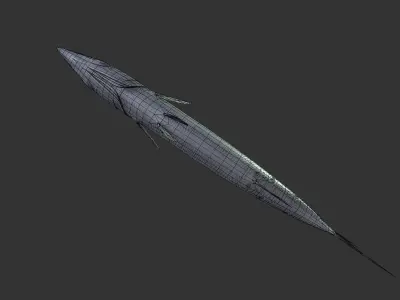 Barracuda mackerel fish Low-poly 3D model