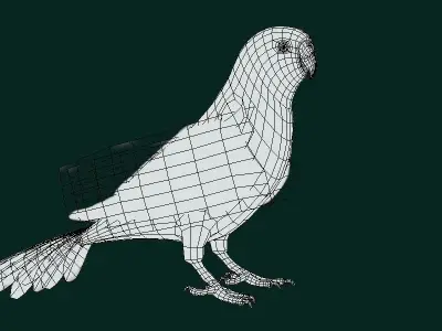 Budgerigar Budgie Bird Low-poly 3D model