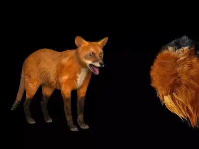 Red Fox Karaganda Free 3D model
