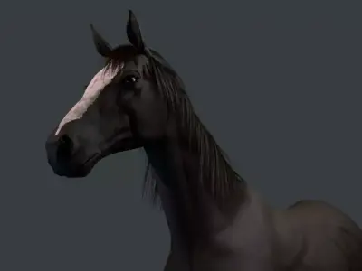 Thoroughbred Horse 3D model