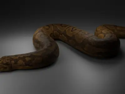 Titanoboa  Low-poly 3D model
