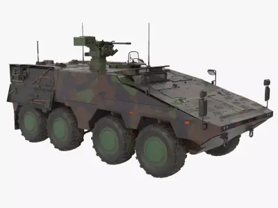 APC Boxer Brown Clean 3D model