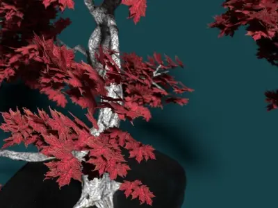 High Polly multi part Bonsai Maple 3D model 3D model