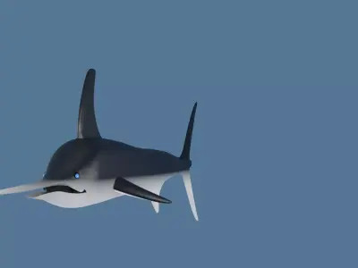 Sword Fish Low-poly 3D model