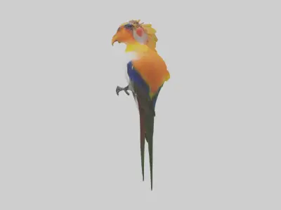 Bird of Paradise Model Low-poly 3D model
