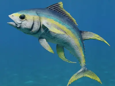 Tuna Fish Animated Free low-poly 3D model