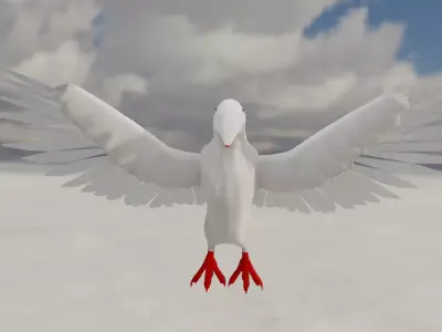 Pigeon 3d model blender Free 3D model